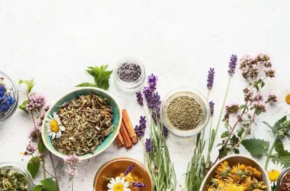 Evaluating Botanical Extracts for Modern Supplement Formulation
